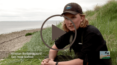 Om-Venø-Seafood-video